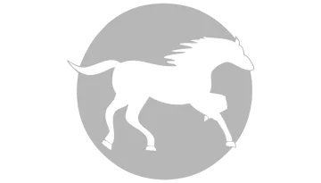 Partner 18